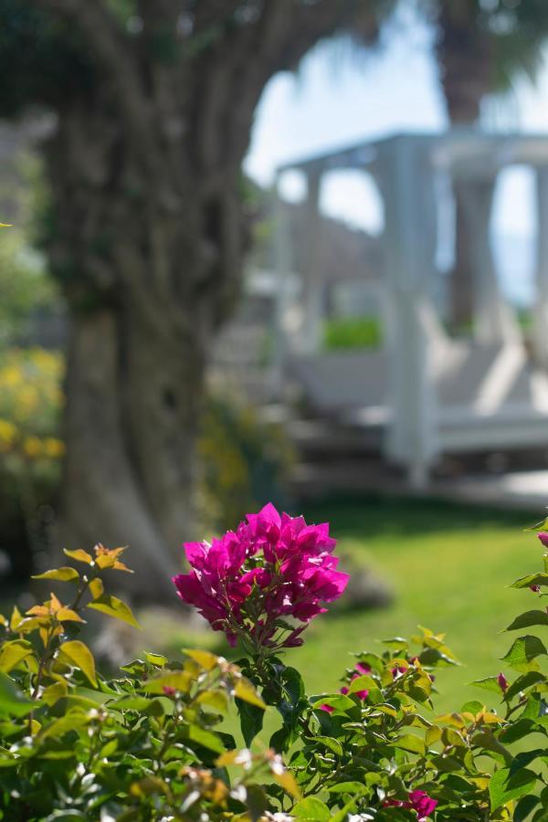 Bodrum Infinity Turgutreis Bagian luar foto
